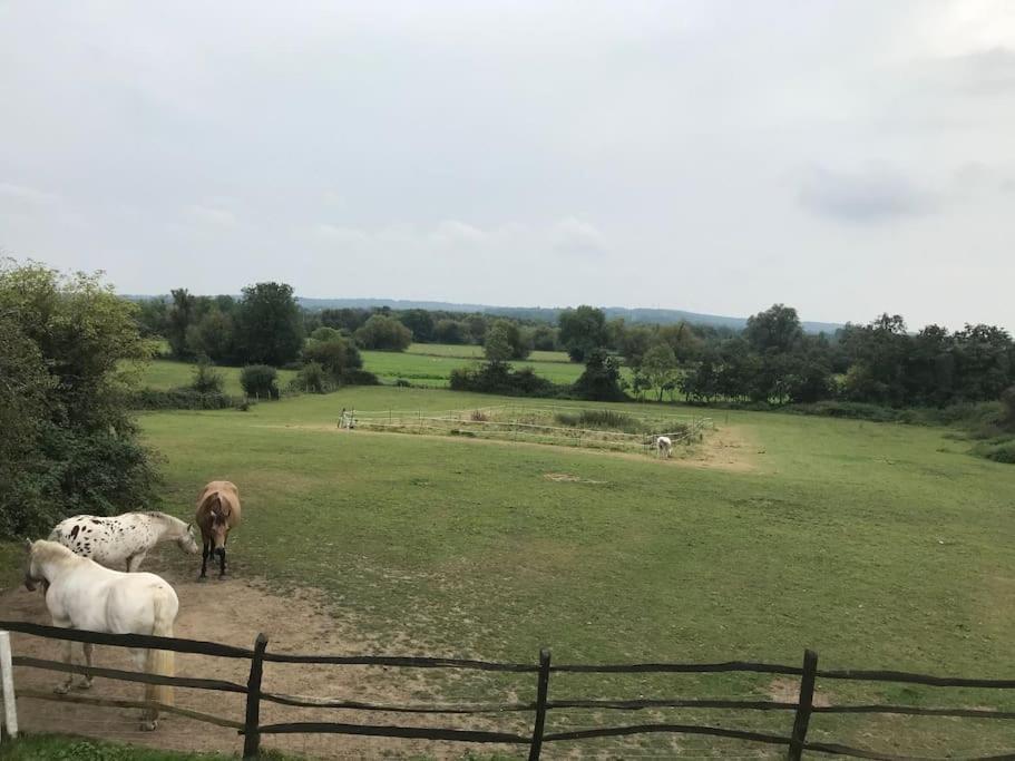 Lovely Kent Cottage With Rural Medway Views Τόνμπριτζ Εξωτερικό φωτογραφία